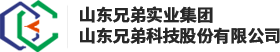 廣東麗銳電子有限公司